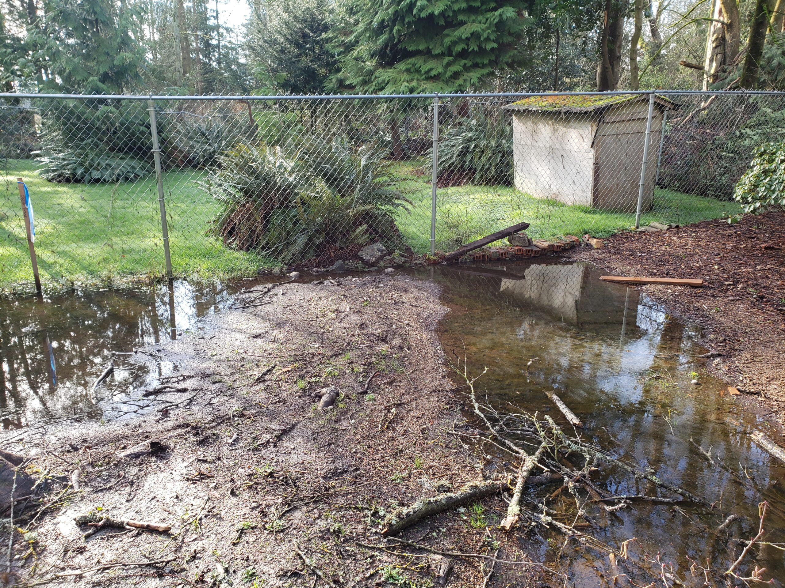 Proper drainage design for Seattle hardscaping projects