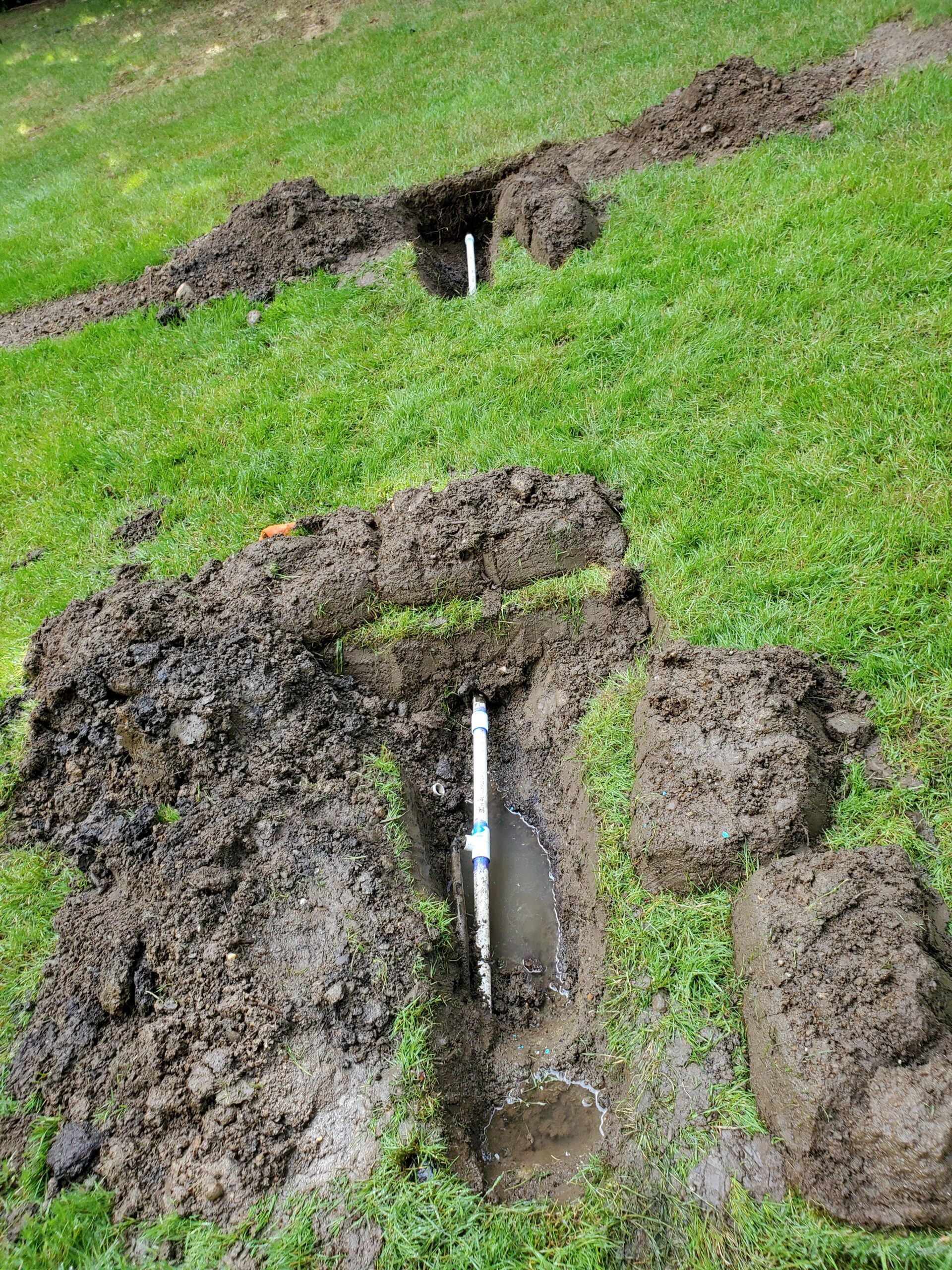 Irrigation installation in Seattle by GreenLeaf