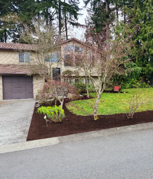 mulch-installation