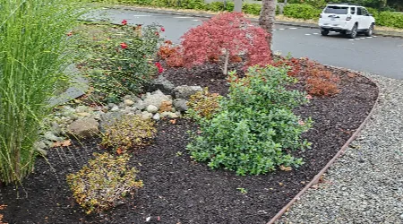 mulch-installation-2