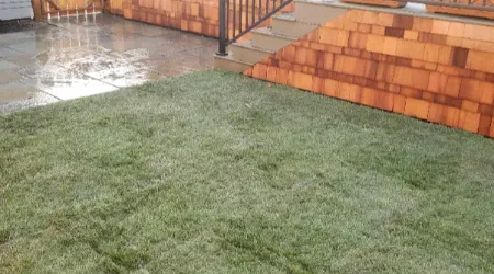 new-lawn-installation