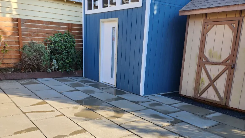 backyard landscaping in Seattle after