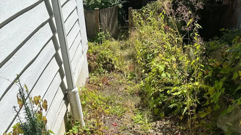 backyard landscaping visualizer before2