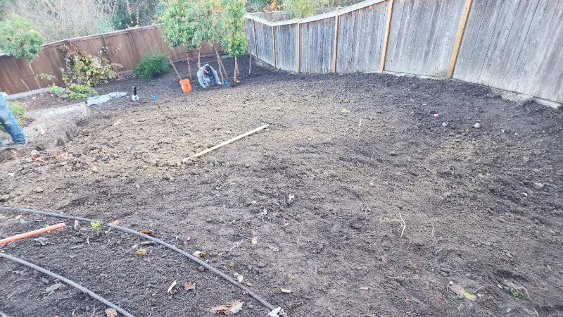 backyard landscaping visualizer before