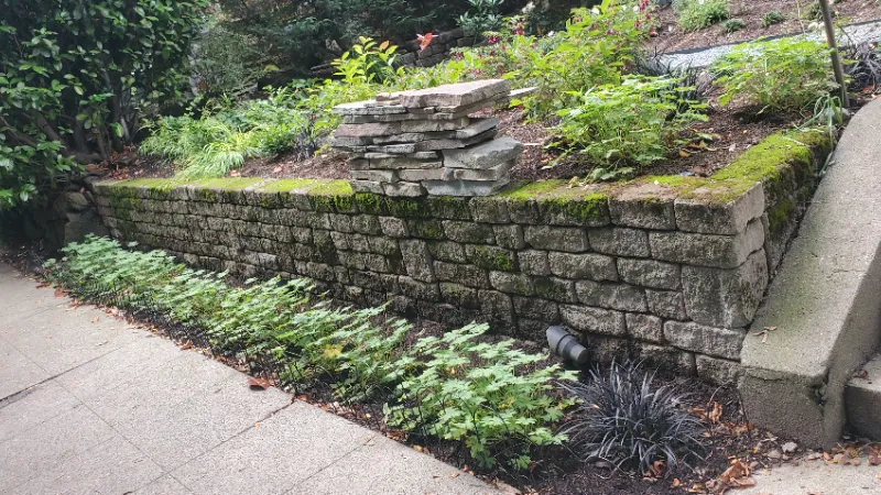 front yard landscaping Greenleaf before