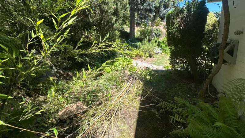 front yard landscaping visualizer before