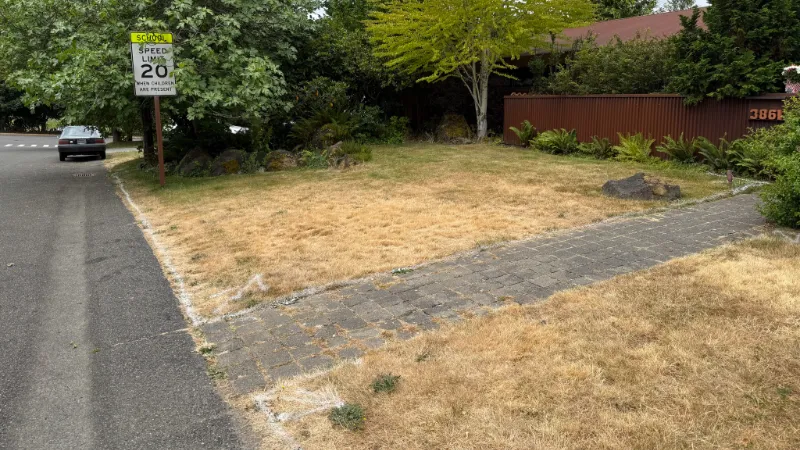 front yard landscaping visualizer before2
